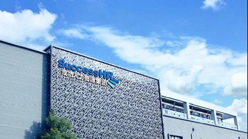 瑞人云助力成功人力 打造人力资源服务数智化高质量发展引擎